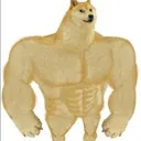 stronk