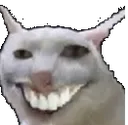 charmingcat Discord Emoji