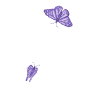 Purple_Butterflies Discord emoji
