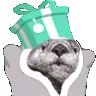 HardyGift HardyGift