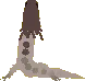 lizwhitedance
