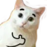 OkayCat OkayCat