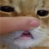 Teef