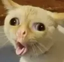ew