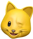 Cat Wink catwink Discord Emoji