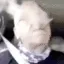 oppack
