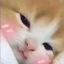 KeyMochi Discord emoji