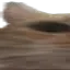 WideGato1