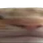 WideGato2