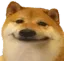 A_doggohehe