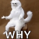 ANICHAT_why Discord emoji