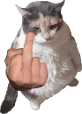 cat_thumbs_up