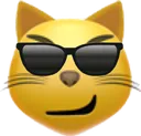 coolkitty