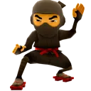 ninjapose