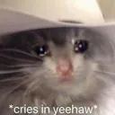 sadyeehawnoises