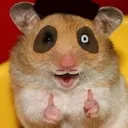 hamopiasupport