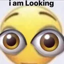 iamlooking iamlooking