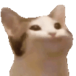 cKN_popcat Discord Emoji