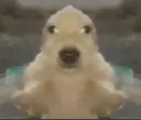 uhPefo