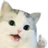 catGood