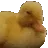 nonono