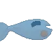 Fish Fish