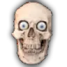 skullbruh