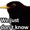dunnobird