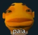 3_mmpaia 3_mmpaia
