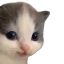 heh