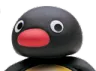 D_Npingu
