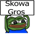 D_Vgroskowa