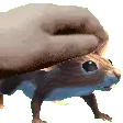 PetLila