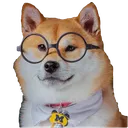 DoggoStudy
