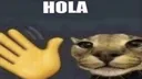 Hola_Floppa