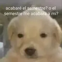 sad