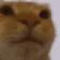 catawk