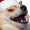:doggo_christmas_ao: