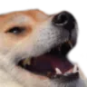 keknicho