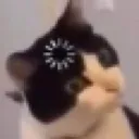3caterror 3caterror