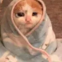 sadblankiecat