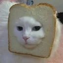 BreadGato