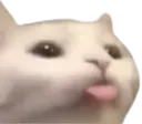 CatBlep