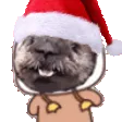 ChristmasDance