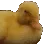 m_smh_ducky