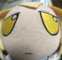 FishEyeRan