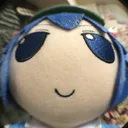 FishEyeNitori