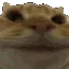 nonono