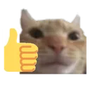 gatook gatook