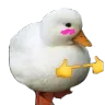 912015493026693132